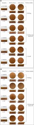 An Empirical Shear Model of Interface Between the Loess and Hipparion Red Clay in a Loess Landslide